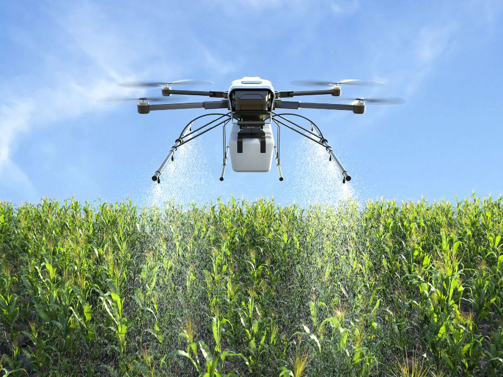 Drone monitoring a field